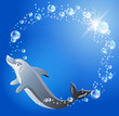 Dolphin and bubbles