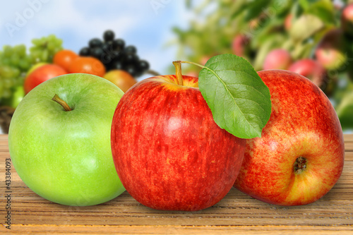 Photo: Obst 334 Obst 334