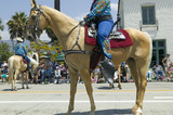 Photo: Cowgirl on horse during opening day parade down State Street, Santa Barbara, CA, Old Spanish Days Fiesta, August 3-7, 2007 Cowgirl on horse during opening day parade down State Street, Santa Barbara, CA, Old Spanish Days Fiesta, August 3-7, 2007