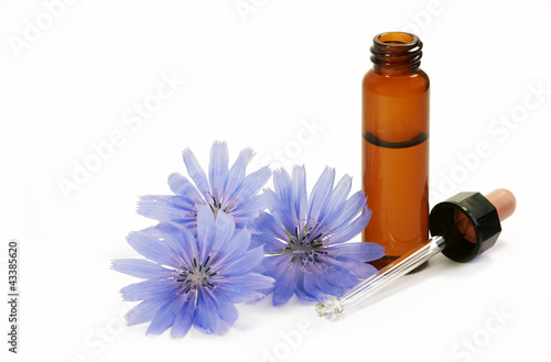 Photo: Bachblütentherapie, Bach-flowers Bachblütentherapie, Bach-flowers