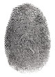 Foto: Real fingerprint in white background Super macro Real fingerprint in white background Super macro