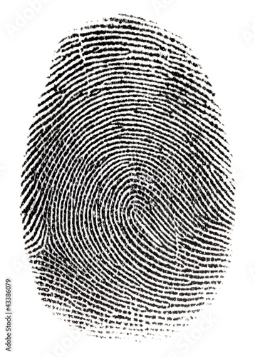 Photo: Real fingerprint in white background Super macro Real fingerprint in white background Super macro