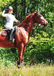 Photo: A rider on horseback A rider on horseback