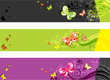 Vector: abstraction with butterflies abstraction with butterflies