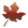 Abstract autumn leaf