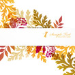 seed and plant background