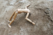 Vogel Strauß l.