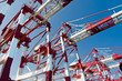 Cargo Cranes in Industrial Port