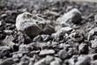fossiler Brennstoff