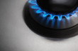 Gas hob cooker
