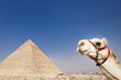Ägypten