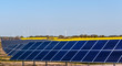 Windkrafträder und Solarmodule in einem Rapsfeld