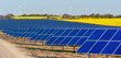 Windkrafträder und Solarmodule in einem Rapsfeld