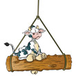 Cow swing