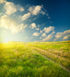 Summer landscape with green grass, road and clouds