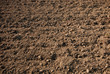 agricultural soil