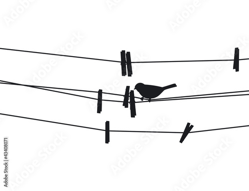 Vector: Bird sits on a rope next to the clothespins. Vector illustration Bird sits on a rope next to the clothespins. Vector illustration