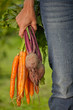 Photo: Frische Ernte Frische Ernte