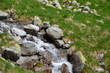 Foto: Torrente di Cima d'Asta Torrente di Cima d'Asta