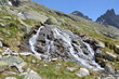 Foto: Torrente di Cima d'Asta Torrente di Cima d'Asta