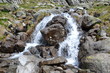 Foto: Torrente di Cima d'Asta Torrente di Cima d'Asta