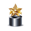 trophy with golden star