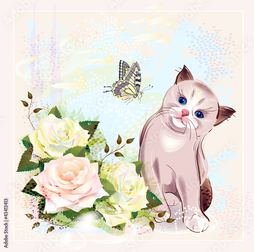 Vector: greeting card with kitten, butterfly and roses greeting card with kitten, butterfly and roses