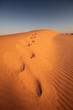 desert Footprints