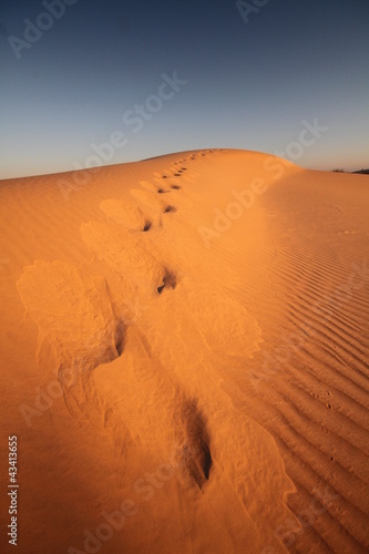 Photo: desert Footprints desert Footprints