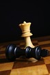 Schach, das königliche Spiel