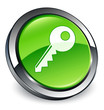 Key icon 3D green button