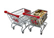 Shopping Cart with money