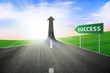 The road to success