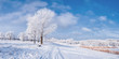 Photo: Winter landscape with tree and road Winter landscape with tree and road