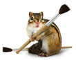 Photo: Funny chipmunk hold paint brush Funny chipmunk hold paint brush