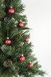 Christmas Tree and Decorations