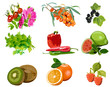 plant sources of vitamin C