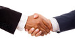 Multiracial handshake between african and a caucasian business m