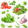 Collection of vegetables isolated on white background