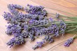 lavender flowers