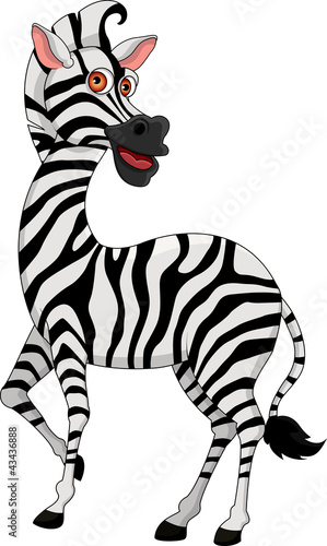 Vector: cute zebra cartoon cute zebra cartoon