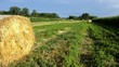 hay bales under a blue sky