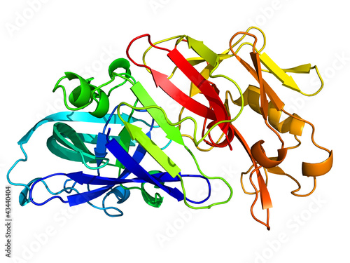 Illustration: Pepsin molecule on white Pepsin molecule on white