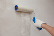 paint roller in hand, the wall