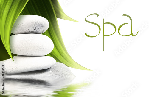Illustration: spa treatments spa treatments