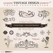 Vector set classic. Calligraphic design elements and book decora