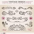 Vector set classic. Calligraphic design elements ornament decora