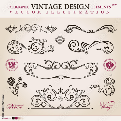 Vektor: Vector set classic. Calligraphic design elements ornament decora Vector set classic. Calligraphic design elements ornament decora