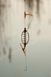 Fishing equipment for carp