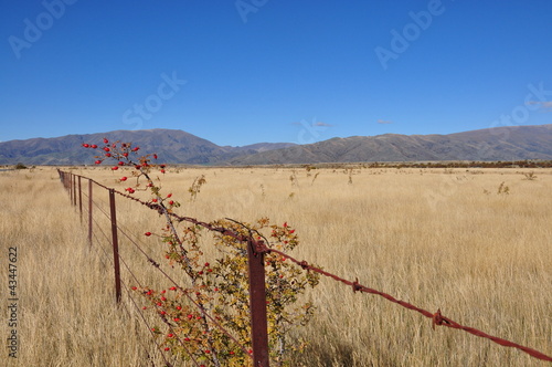 Foto: fence in a station fence in a station